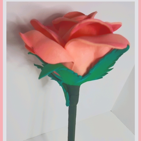 ROSE PEN IN FOAM - Picture 2 of 4